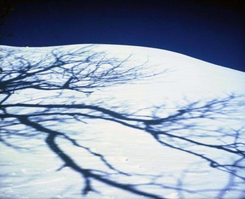 닭, 설경(본관 게시용) 이미지