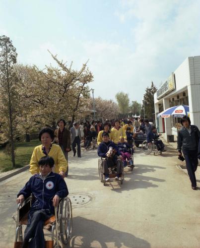 세계 장애인의 해 휠체어 전달식 이미지