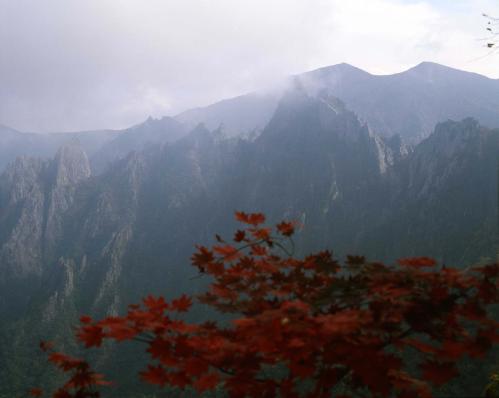 설악산 단풍, 금강산 이미지