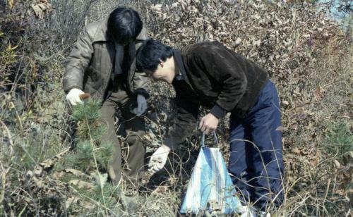 문화공보부 직원 육림의 날 행사 이미지