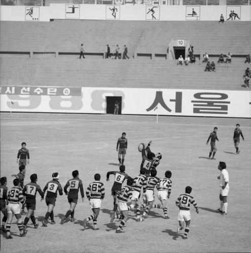 제62회 전국체육대회(럭비시합) 이미지