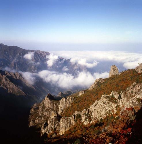 설악산 단풍 이미지