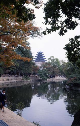 경복궁(향원정) 이미지