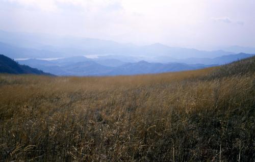 유명산 이미지
