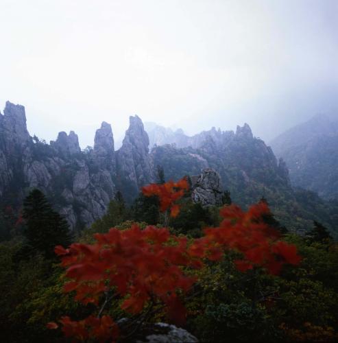 설악산단풍 이미지