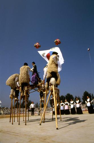 외국민속공연 참가국 시범공연 이미지