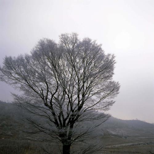 설화 이미지