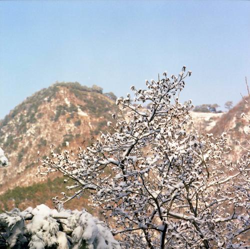 설경 이미지
