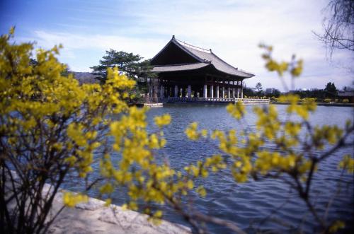 경복궁 및 경회루 스케치(목련) 이미지