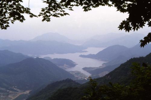 월악산 풍경 및 야생꽃 이미지