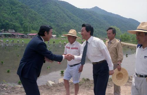 최창윤 문화공보부 차관 모내기 일손돕기 이미지