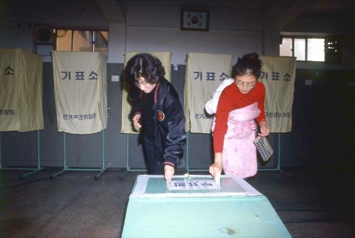 헌법개헌 국민투표 이미지