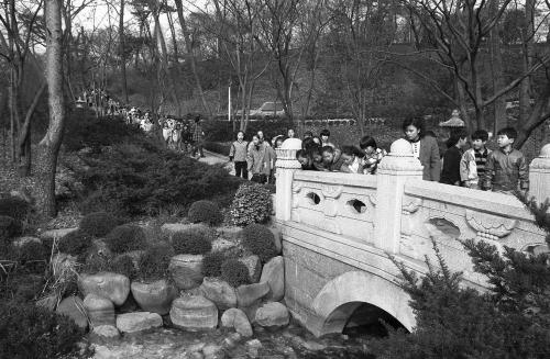 일반 청와대 경내 개방(농아학교학생, 청운국민학교학생) 이미지