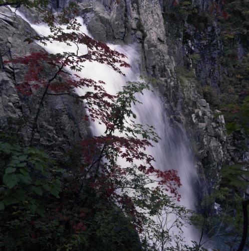 설악산 단풍 이미지