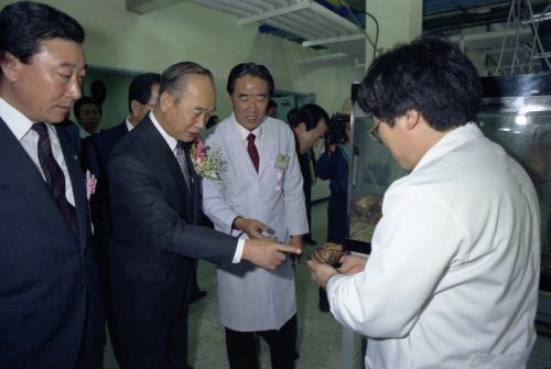 강영훈 국무총리 수산단지 시찰 이미지