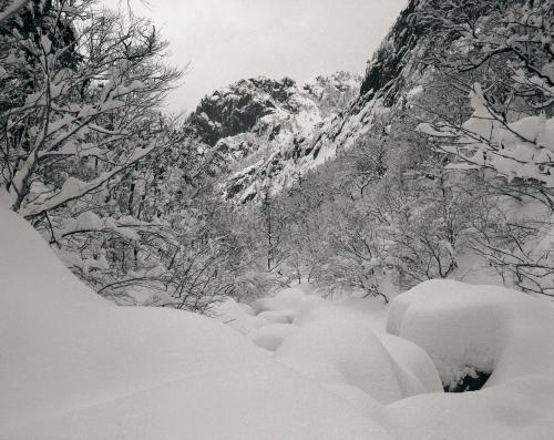 설악산 대청봉 설경 이미지