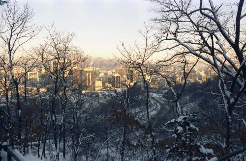 남산의 설경 이미지