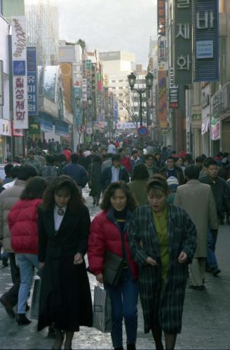 명동 거리, 남산 비둘기 이미지