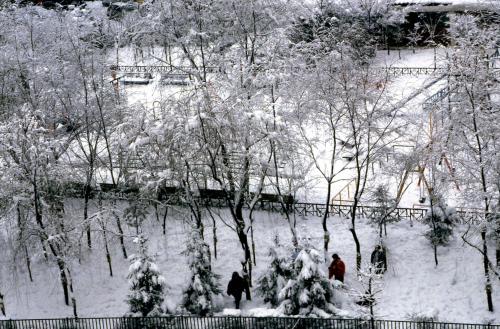 설경 이미지