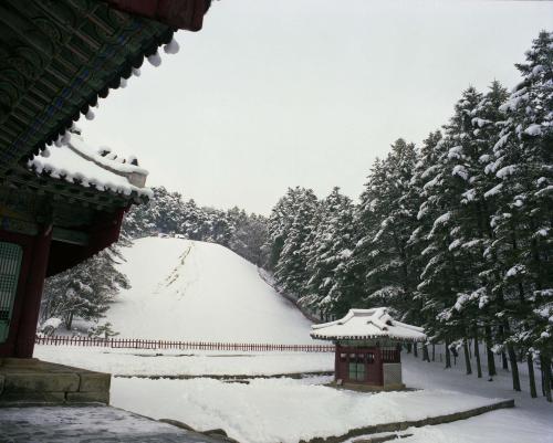 광릉 설경 이미지