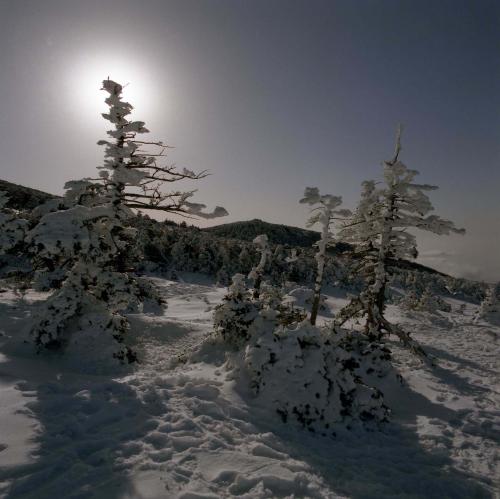 한라산 설경 이미지