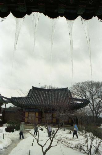 낙산사 이미지