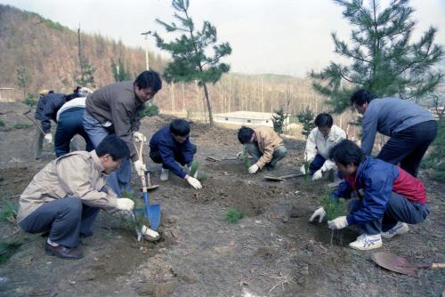 공보처 직원 식목일 행사 이미지