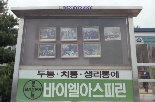 사진으로 본 국정소식 사진 게시판 이미지
