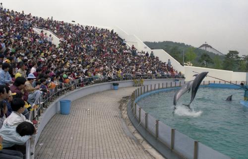 제68회 어린이날(돌고래쇼 외) 이미지