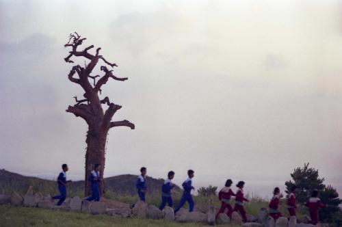 제8회 한국잼버리대회 이미지