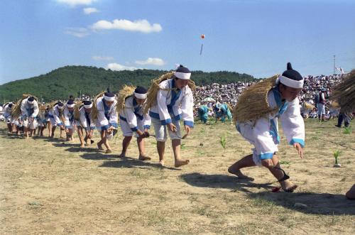 제36회 백제문화제 산유화가 이미지