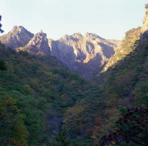 설악산 만추 이미지