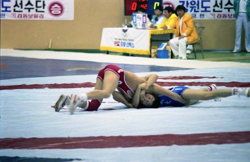 제71회 전국체육대회 핸드볼, 레스링 이미지