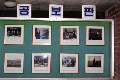 강원도 사진으로 본 국정소식 게시판 이미지