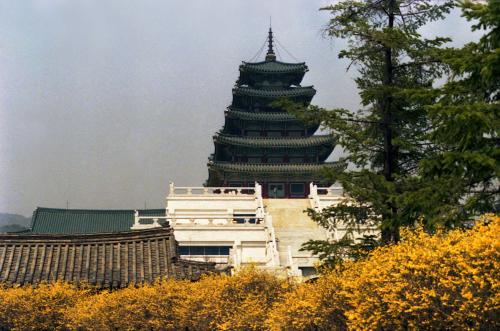 봄, 경복궁 스케치 이미지