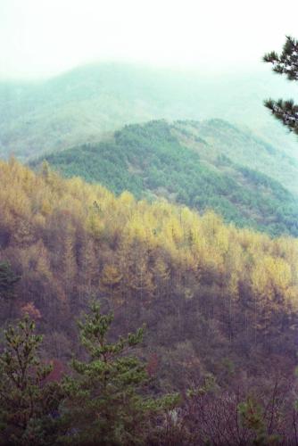 지리산 만추 이미지