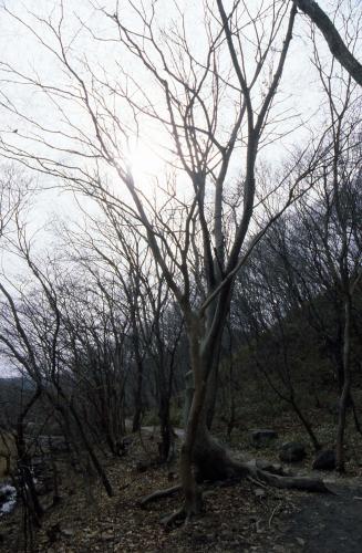 선운사 전경 이미지