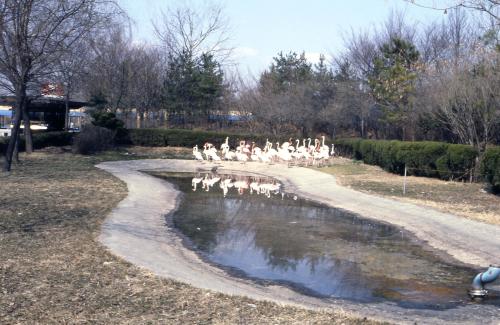 서울대공원 동물원 스케치 이미지