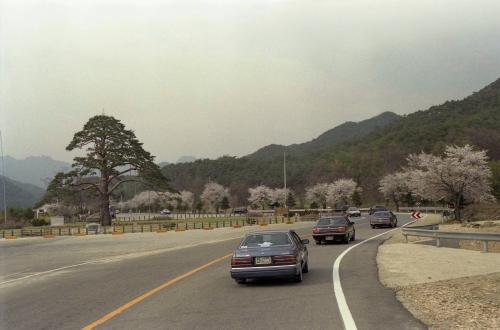 속리산 법주사 전경 이미지