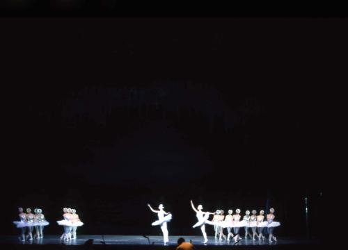 발레 '백조의 호수' 이미지