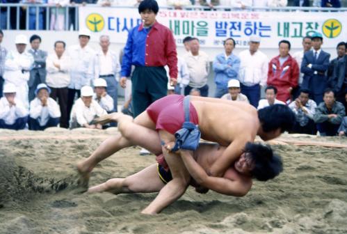군민 문화행사 이미지