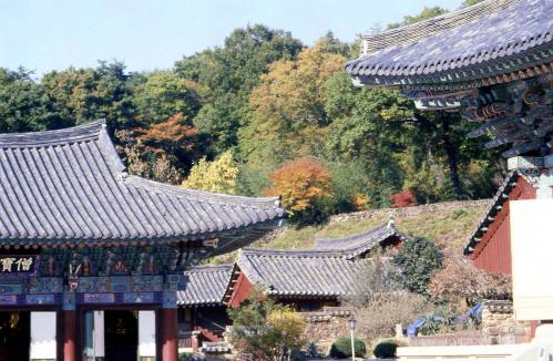 송광사 이미지