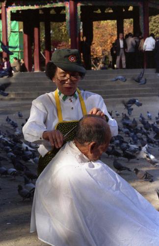 사랑의 이발사 이미지