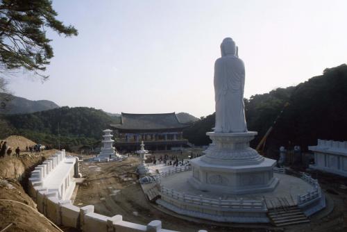 경북 동화사 통일대불 조성공사현장 이미지