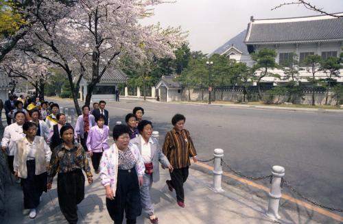 청와대앞 상춘객 이미지