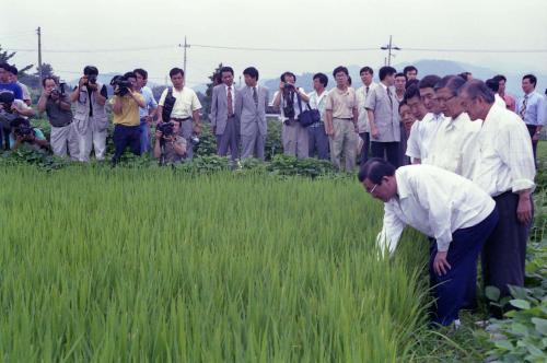 황인성 국무총리 농촌지역 순시(전북 김제) 이미지