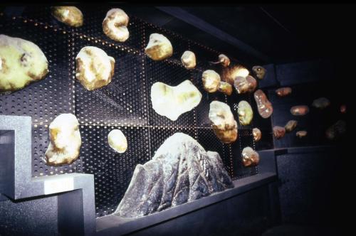 '93 대전 EXPO(국제박람회) 자원활용관 이미지