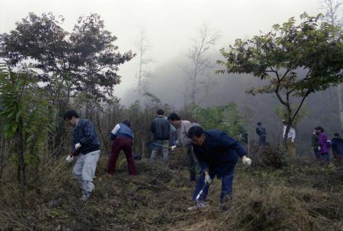 공보처 직원 육림의 날 행사 이미지