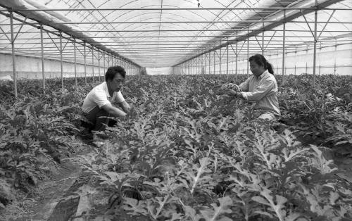 경남 산청군 새마을지도자 인터뷰 이미지