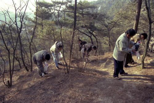공보처 자연보호행사 이미지